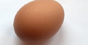 1 яйцо