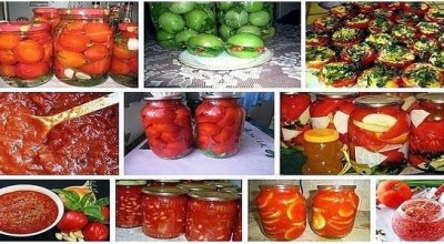 15 Супер рецептов из помидоров!